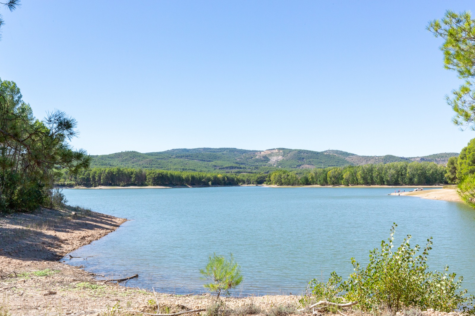 WhatsApp Image 2025-12-01 at 6.18.10 AM (1)