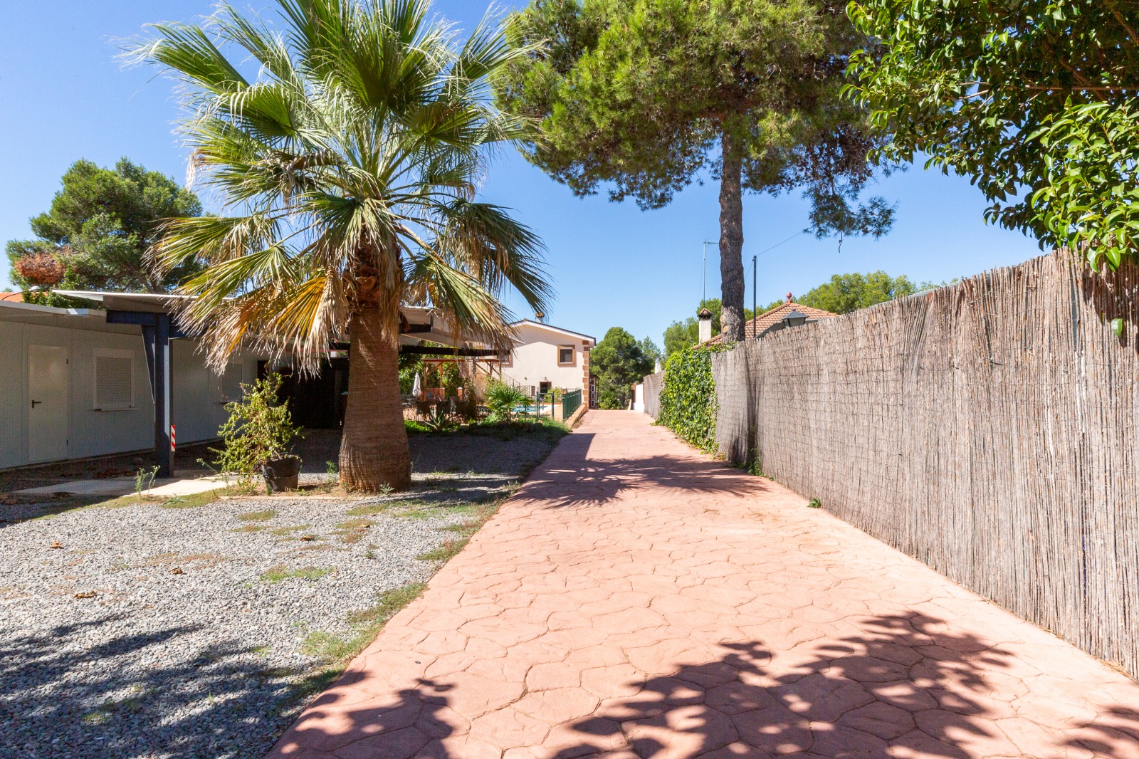 WhatsApp Image 2025-12-01 at 6.18.11 AM (1)